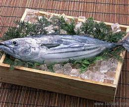 探尋可靠源頭 水產(chǎn)品批發(fā)優(yōu)質貨源與供應信息全攻略