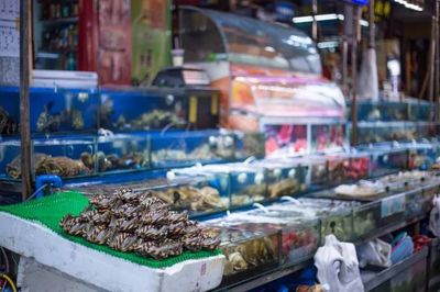 十萬(wàn)“水軍”晝夜不息的傳奇謝幕 全國(guó)最大水產(chǎn)品批發(fā)市場(chǎng)的搬遷與日用百貨銷(xiāo)售的轉(zhuǎn)型