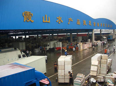 讓天下沒(méi)有難賣(mài)的魚(yú)蝦！探秘中國(guó)主要水產(chǎn)品批發(fā)市場(chǎng)