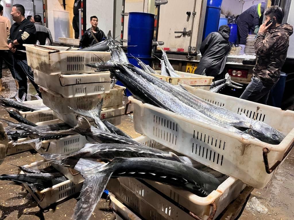 封海前最后一船海鮮抵達(dá)城陽(yáng)水產(chǎn)批發(fā)市場(chǎng)，鲅魚(yú)仍唱主角