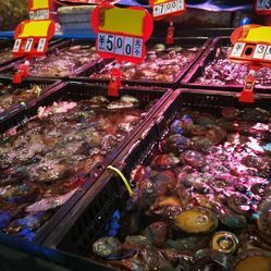 融合與創(chuàng)新 成都農(nóng)產(chǎn)品中心批發(fā)市場(chǎng)海水產(chǎn)交易區(qū)的日用百貨銷(xiāo)售新業(yè)態(tài)