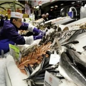 全國(guó)主要水產(chǎn)品批發(fā)市場(chǎng)報(bào)價(jià)動(dòng)態(tài)與日用百貨銷(xiāo)售渠道淺析