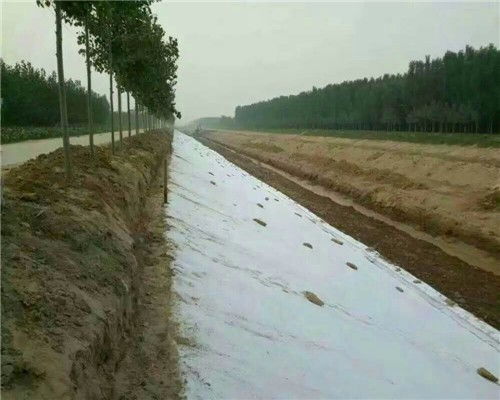 黃南300g護坡防水土工布 優質防護，當日發貨，歡迎選購與格柵搭配使用